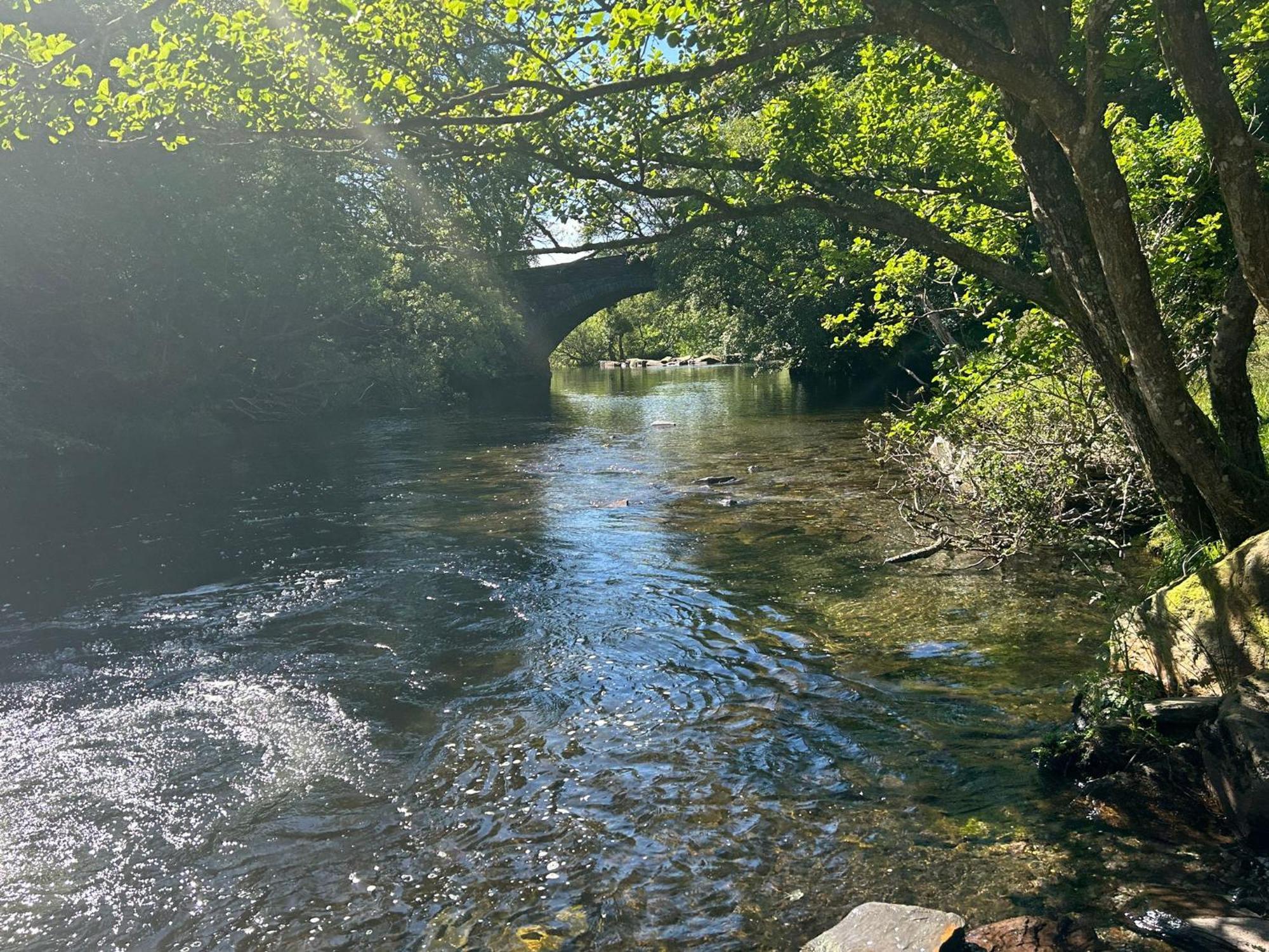 The Cottage - Snowdonia, North Wales ベセスダ エクステリア 写真